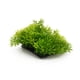 thumbnail image 3 of Accesorios para tanque de peces de acuario decoración de hierba verde planta de agua de plástico Artificial ANGGREK Otros, 3 of 8