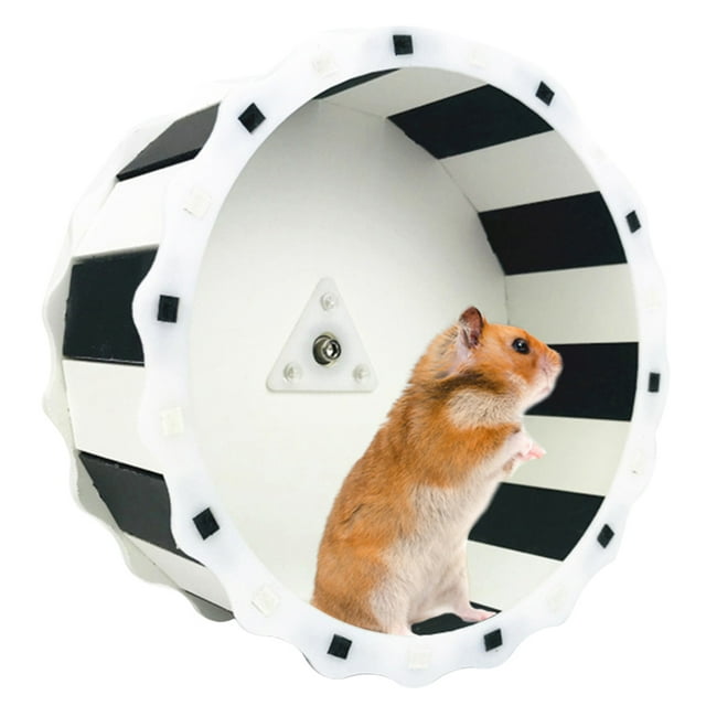 Hamster Roue pour Silencieuse Roue Tournante Roue d'Exercice pour Petits Animaux
