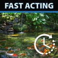 thumbnail image 3 of CrystalClear Barley Extract, Liquid Barley Straw Pond Treatment, Fish-Safe Natural Water Clarifier, 32 Oz, 3 of 9