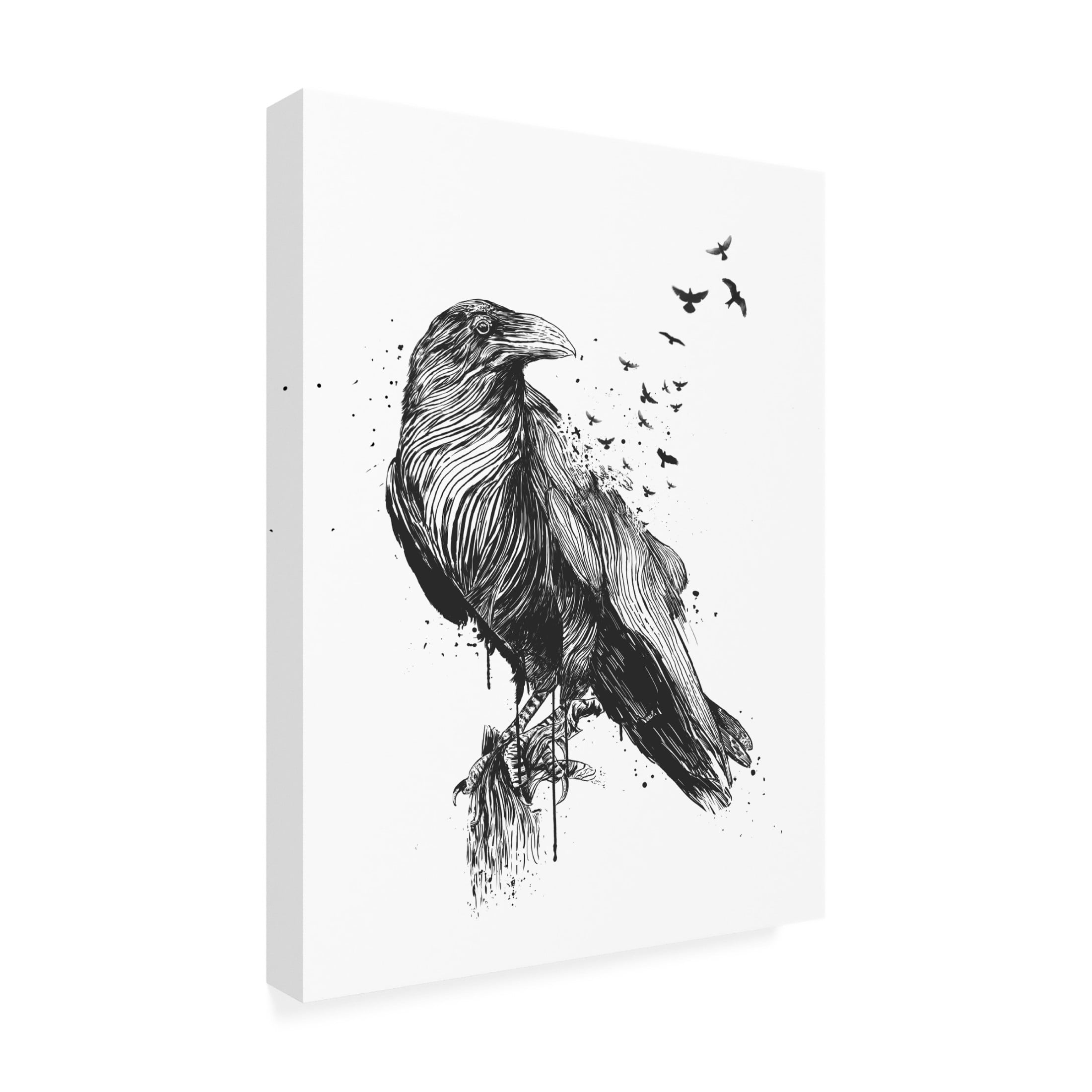 Trademark Fine Art Balazs Solti  Born to be free Canvas Wall Art