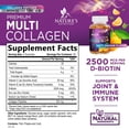 thumbnail image 3 of Collagen Peptides Gummies with 2500mcg Biotin Per Serving - Hair Growth, Skin & Nails Supplement - Hydrolyzed Collagen Multi Type I & III, Vitamin C for Immune Support, Orange Flavor, 60 Gummies, 3 of 10