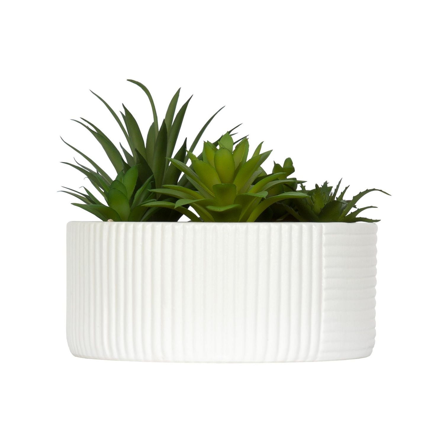 DesignOvation 6.25"H Tabletop Artificial Succulents in White Ribbed Pot, 7.13in W x 6.25in H x 7.13in D