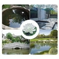 thumbnail image 4 of SLYNSHome LED Solar Floating Lotus Lights for Ponds - Waterproof - Battery Operated - Artificial Float Flower Light Lamp for Pools,Wedding,Garden Decoration (White), 4 of 9