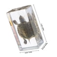 thumbnail image 2 of Luxshiny Turtle Figurine Lifelike Tortoise Statue Garden Turtle For Aquarium Boys And Girls Learning Toy, 2 of 8