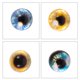 thumbnail image 3 of 40 piezas de adornos de globo ocular de vidrio para hacer tú mismo, globos oculares redondos de vidrio, suministros para hacer muñecas., 3 of 7