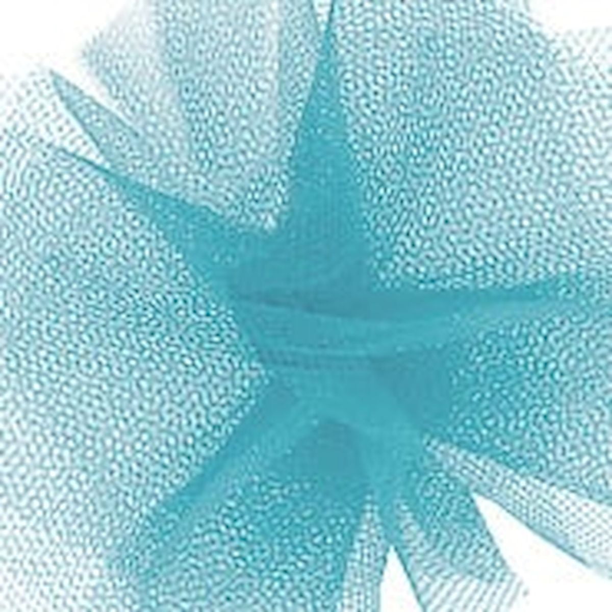 Aqua Blue Tulle Ribbon