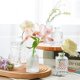 thumbnail image 2 of SOZOMO Juego de 36 Jarrones de Vidrio,Jarrones Transparentes para Centros de Mesa,Florero Decorativos para Mesa,Jarrone Peque&ntilde;os para Flores,Florero de Vidrio Peque&ntilde;os para Boda, 2 of 9