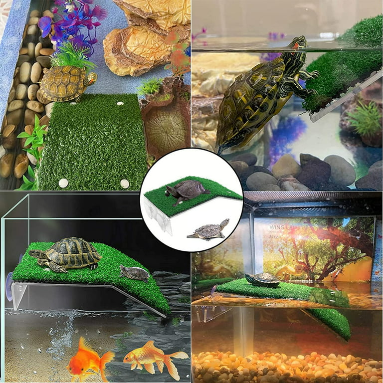 Medium Turtle Basking Platform Turtle Tank Accessories Non-toxic Tasteless  Tortoise Tank Turtle Dock with Suction Cup for Fish Tank Reptile Frogs