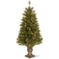 thumbnail image 1 of National Tree Company 4 Foot Atlanta Spruce Artificial Christmas Tree, 1 of 5