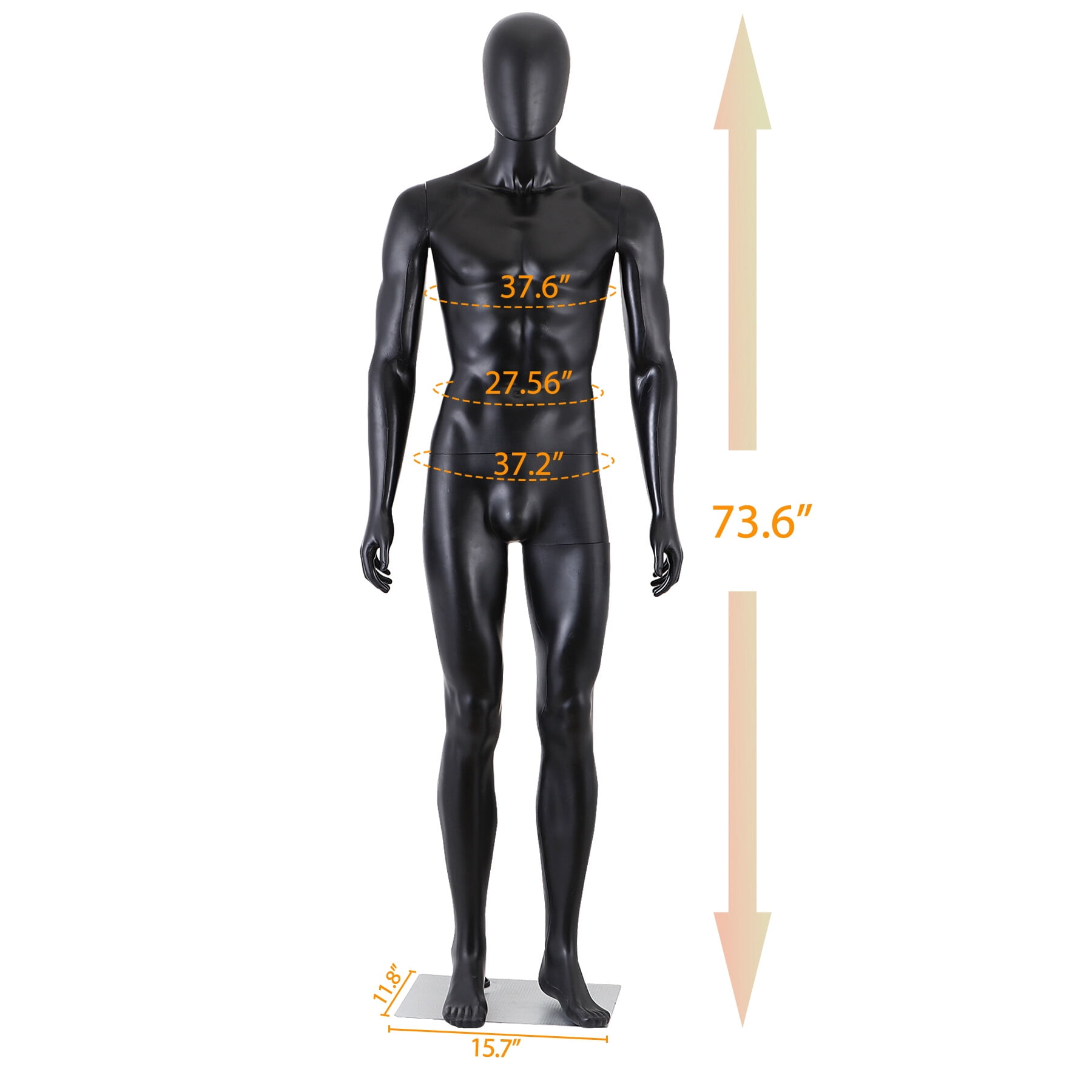ZENY Male Mannequin Full Body Maniquine Model Adjustable Polypropylene Stand, 73.62"