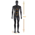 thumbnail image 6 of ZENY Male Mannequin Full Body Maniquine Model Adjustable Polypropylene Stand, 73.62", 6 of 8