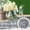G, variant on Decorative Stones for Gardens and Terrariums – Polished Green River Rocks for Ornamental Aquariums Bonsai and DIY Projects