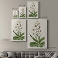 thumbnail image 4 of Flore Albo I Premium Gallery Wrapped Canvas - Ready to Hang, 4 of 9