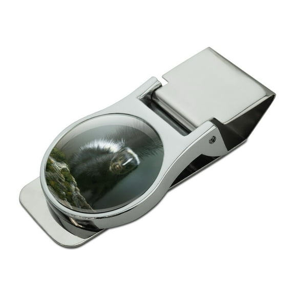 Curious Skunk Satin Chrome Plated Metal Money Clip
