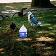 thumbnail image 2 of Miangastore 1Pc Pigeon Water Feeders Pet Birds Water Drinking Container Useful Bird Pigeon Feeder, 2 of 9