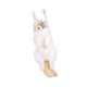 thumbnail image 5 of Mochila de muñecas de gato de peluche Bolsa de dama para amantes de las mascotas aniversario de cumpleaños de regalo Sin corbata, 5 of 8