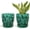 Green, variant on BUYMAX ceramic plant pots, 6 inch plant pots with drainage hole and saucer, indoor/outdoor flower pots, set of 2, leaf embossed - white glaze