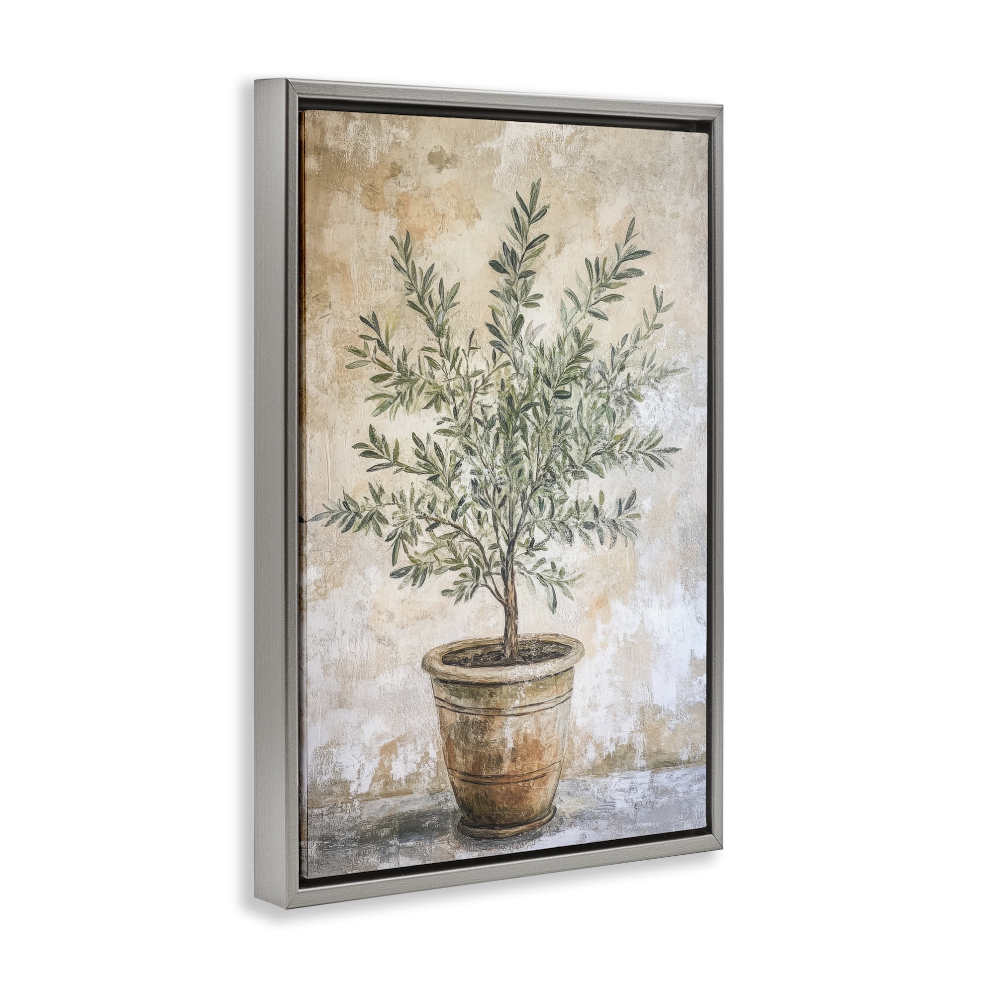 Stupell Industries Mediterranean Potted Olive Gray Framed Floater Canvas Wall Art, design by Petal Prints Design