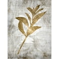 thumbnail image 2 of Brown, Denise 15x18 Black Ornate Wood Framed with Double Matting Museum Art Print Titled - Modern Foliage 1, 2 of 4