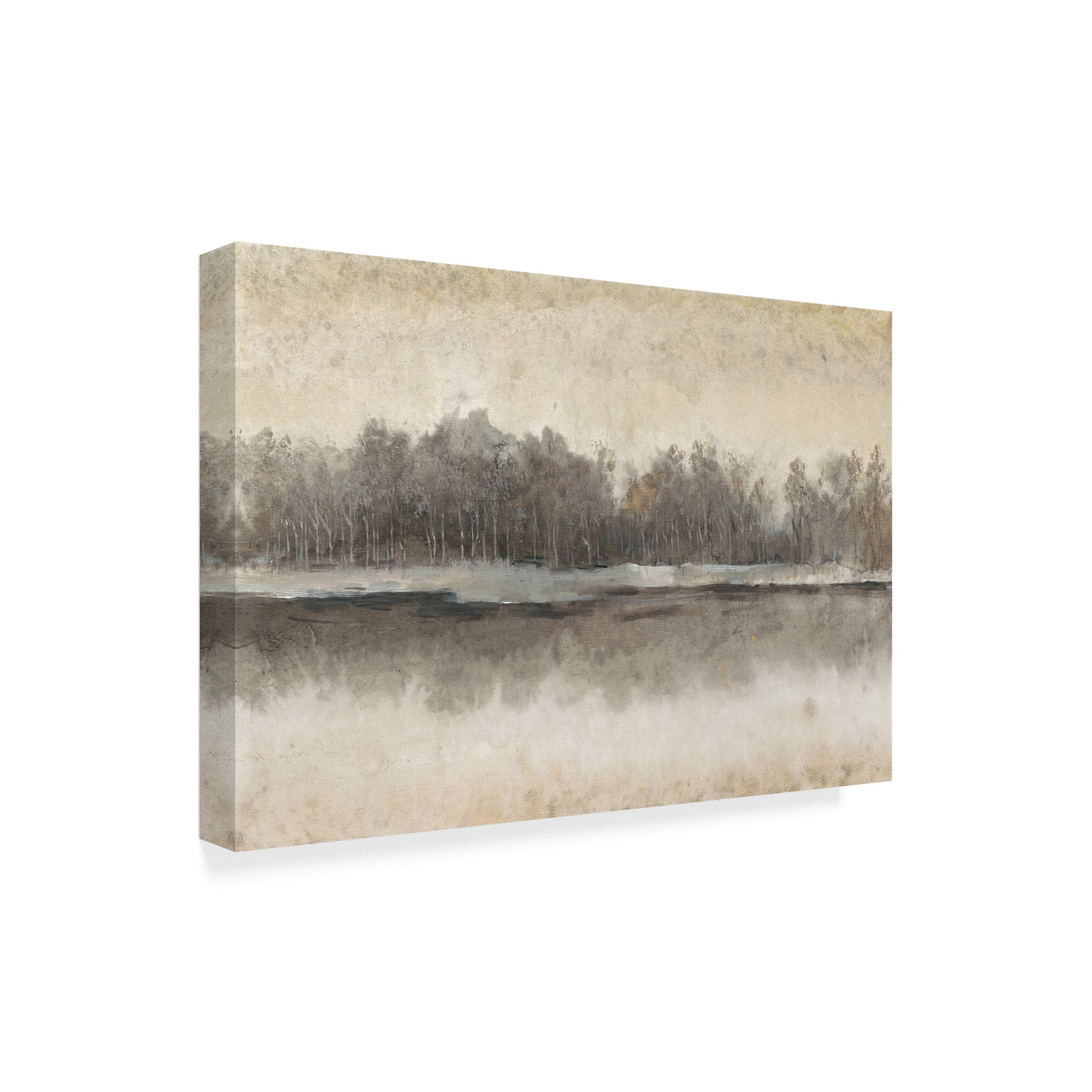 Trademark Fine Art 'Edgewater I' Canvas Art by Tim OToole