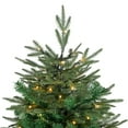 thumbnail image 4 of Northlight Clear Prelit LED Green Hudson Fir Artificial Christmas Tree, 9', 4 of 9