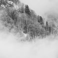 thumbnail image 2 of Wasinger, Renate 15x15 White Modern Wood Framed Museum Art Print Titled - the foggy mountain, 2 of 4