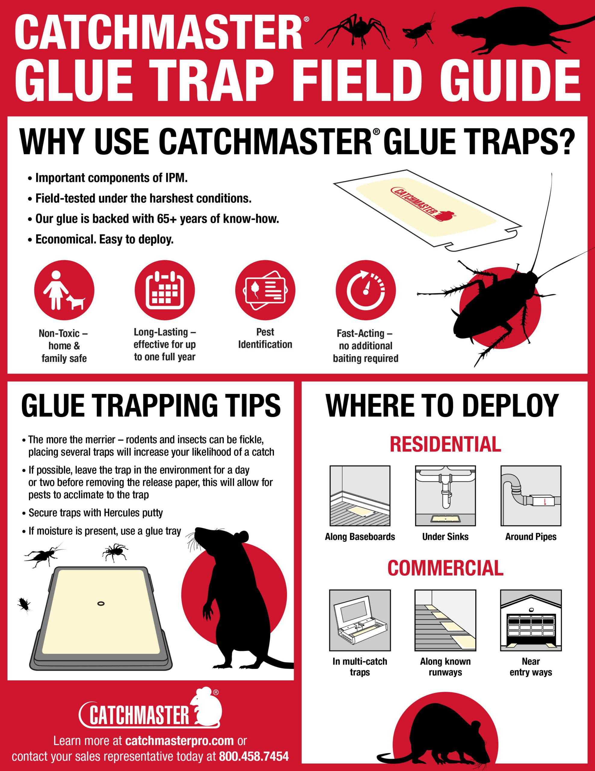 Catchmaster 30R Rat Size Glue Boards 30/Pack