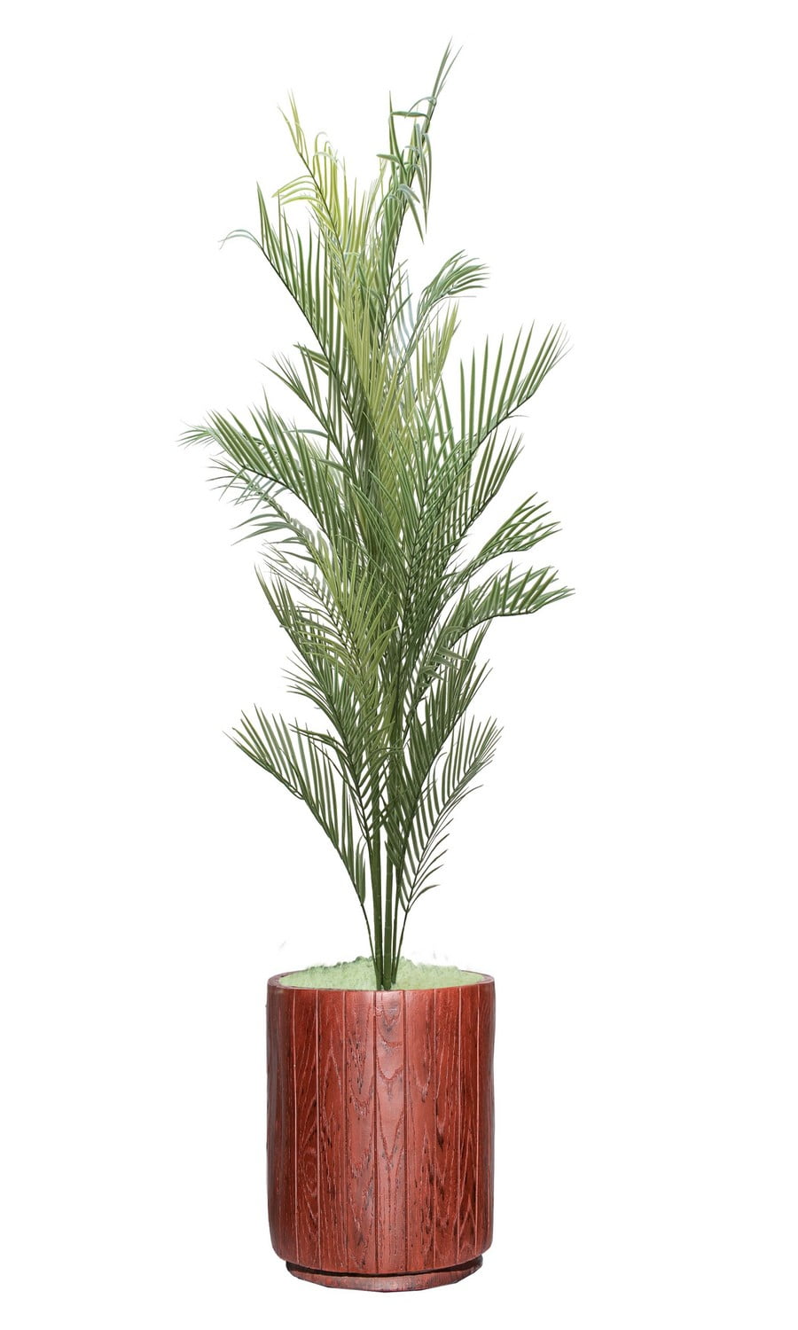 53'' Green Artificial Palm Tree in Cylinder Vase