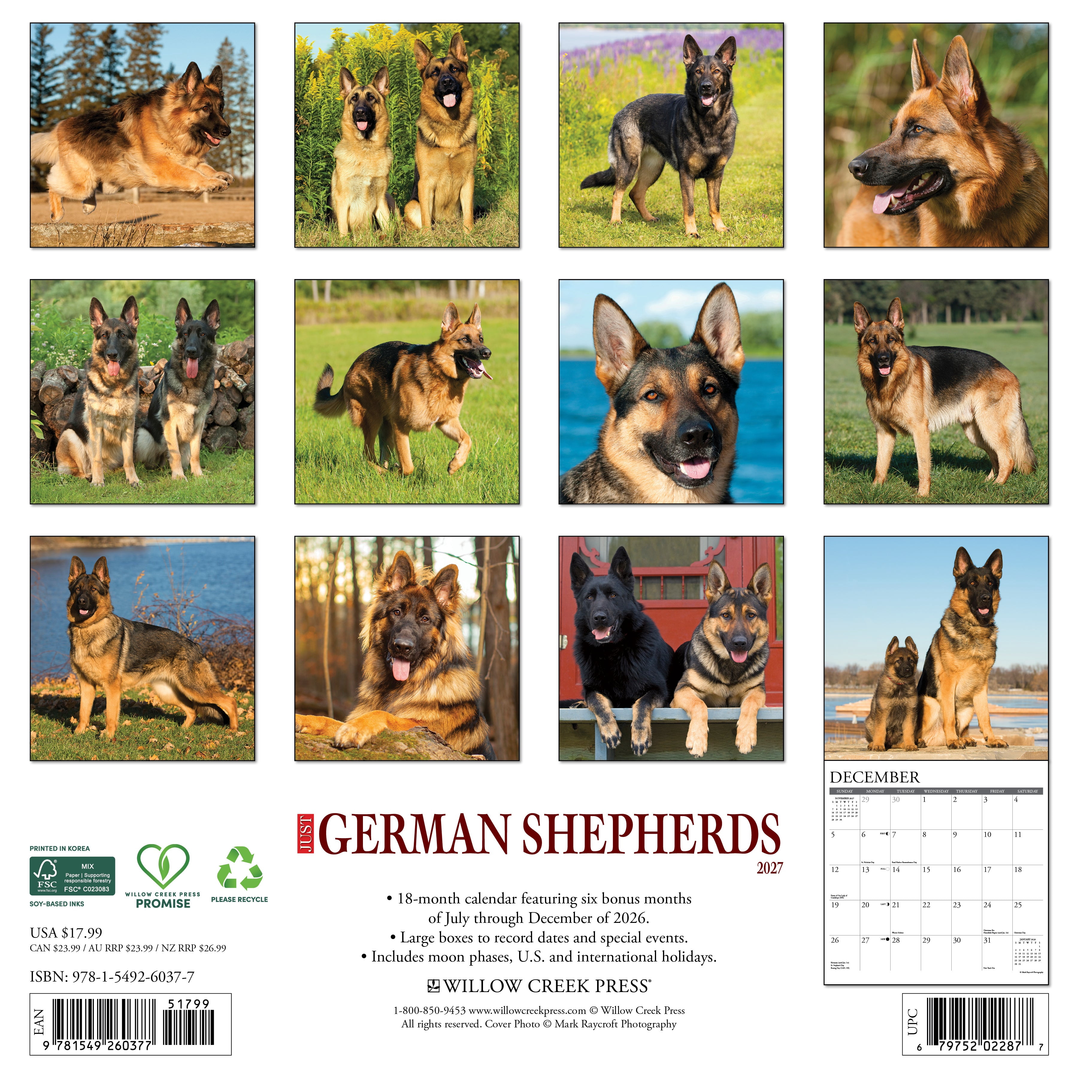 Willow Creek Press, German Shepherds 2027 Wall Calendar