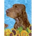 thumbnail image 1 of Carolines Treasures SS4159GF 11 x 15 In. Field Spaniel Flag- Garden Size, 1 of 3