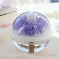 thumbnail image 2 of Fakrich Preserved Fresh Flower Portable Humidifier,270ML Capacity,Cool Mist Essential Oil Diffuser with Night Light and Waterless Auto Shut-Off,for Office Room Bedroom Livingroom (Purple), 2 of 9