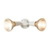 Cooper Lighting 2-Light Outdoor Spotlight