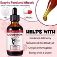 thumbnail image 2 of Liquid Iron Supplements for Dogs - with Folate and B12 – Supplements Anemia, Promotes Blood Health, Oxygen Supply and Blood Cell Formation – Increase Low Energy Levels – Lethargy - 2 oz, 2 of 9
