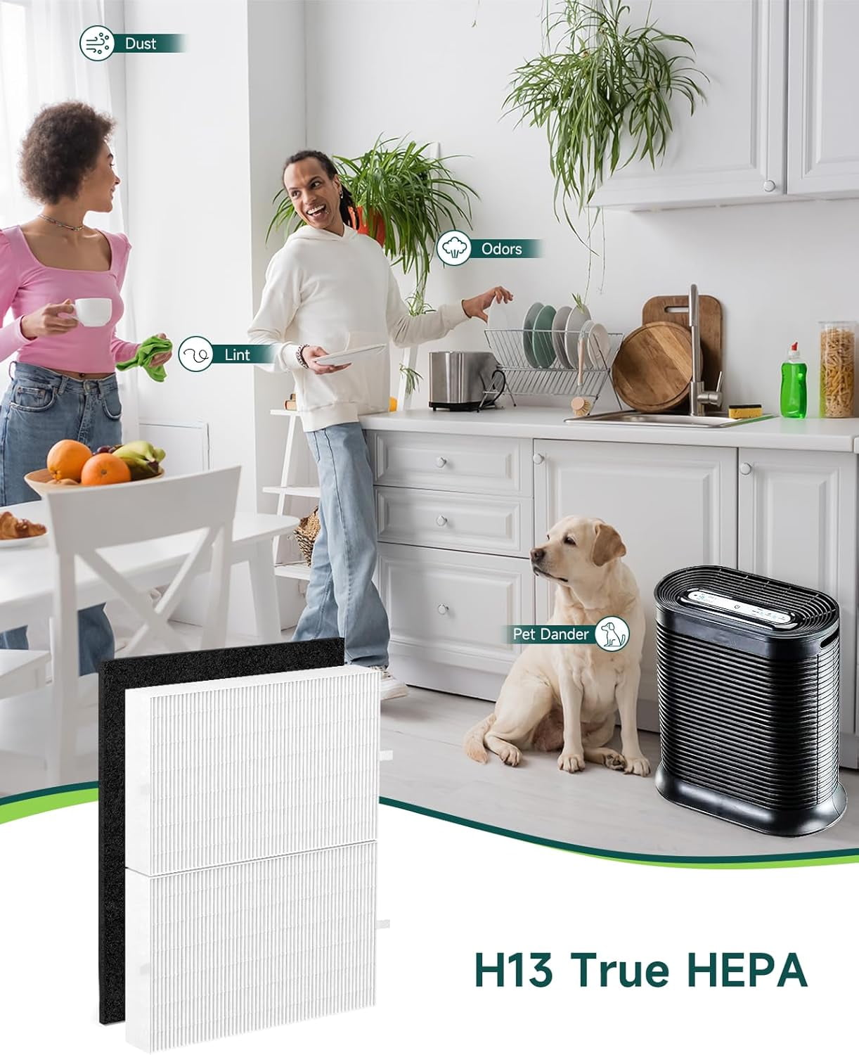 HPA200 HEPA Replacement Filter R for Honeywell Air Purifier 200 Series, 2 HEPA Filters with 4 Pre-Cut Carbon Filters