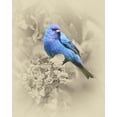 thumbnail image 2 of Brown, Jim 26x32 Black Ornate Wood Framed with Double Matting Museum Art Print Titled - Indigo Bunting II, 2 of 4