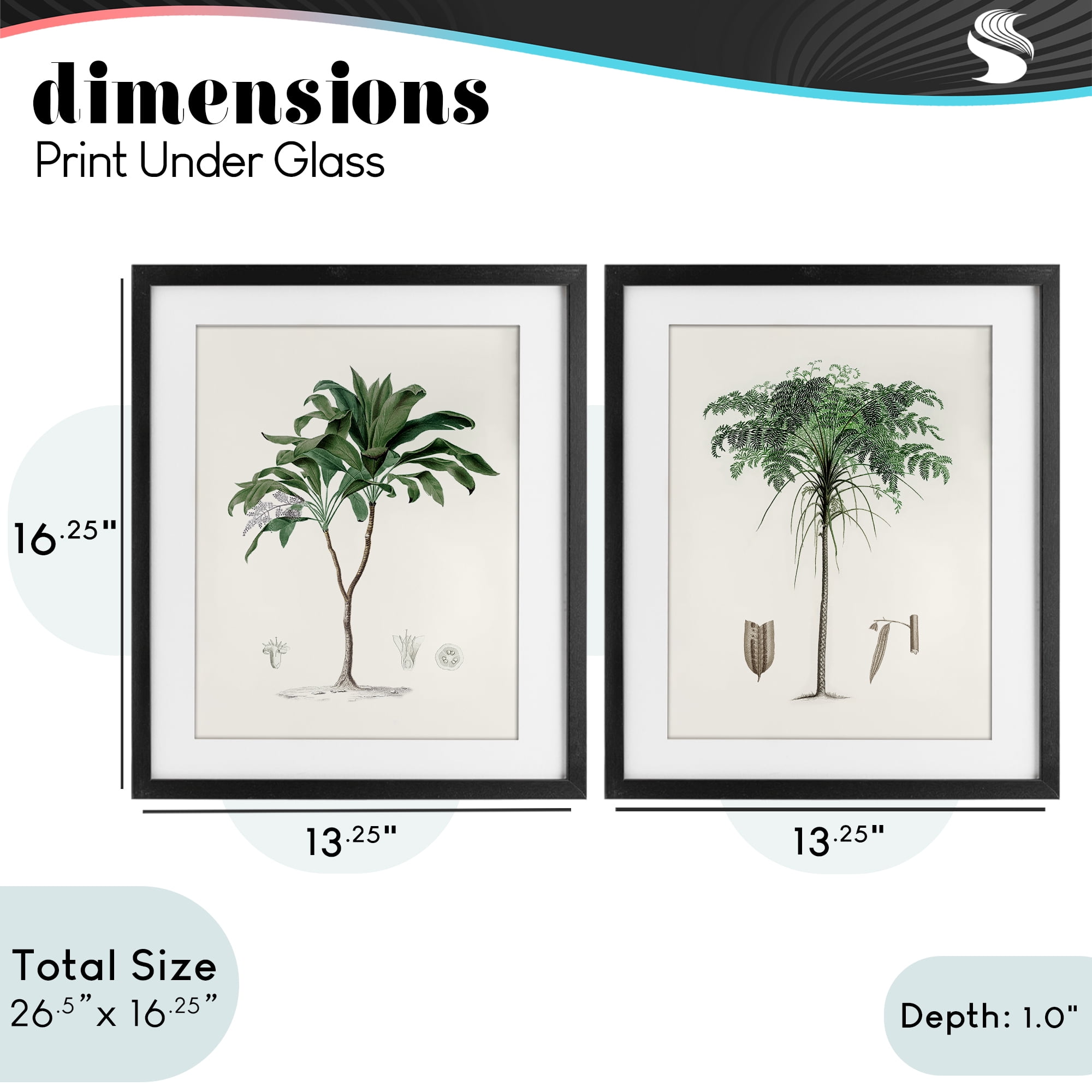 Stupell Industries Two Types of Palms 2 Piece Black Framed Print Under Glass Set, design by Val Rhodes