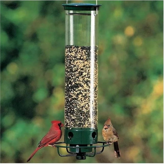 Comederos de pájaros para exteriores, comederos de pájaros a prueba de ardillas para colgar al aire libre, comederos de semillas de pájaros salvajes de metal para pájaro azul, cardenal, pinz