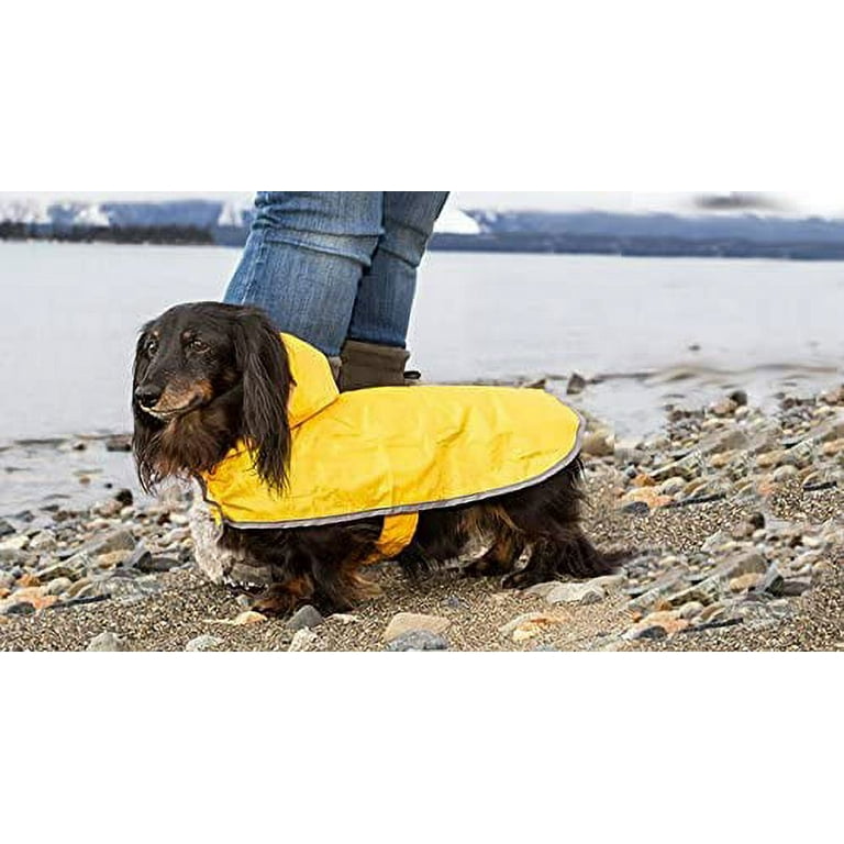 Rc deals pets raincoat