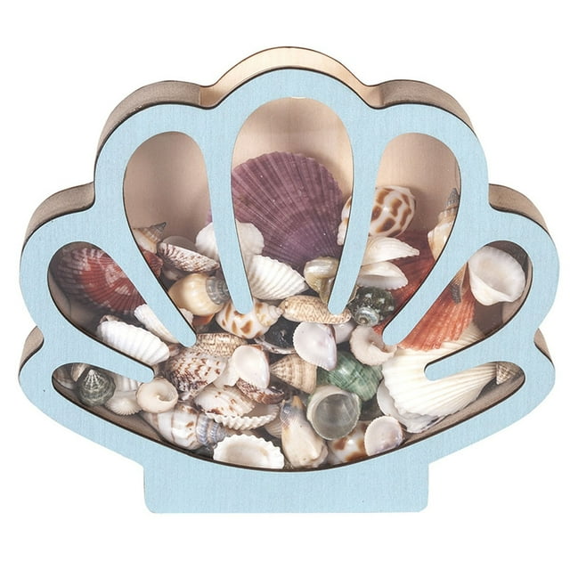 Wooden Seashell Display Case with Acrylic Panel, Beach Sea Shell Storage Box