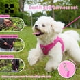 thumbnail image 5 of Dog Harness Leash Set for Small Medium Dog Adjustable Reflective Puppy Cat Harness pet Vest Chihuahua Dachshund Outdoor Walking, 5 of 9
