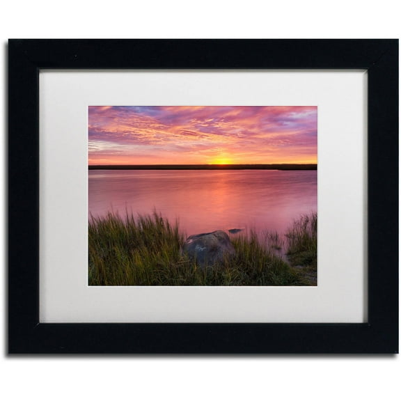 Trademark Fine Art "Windy Marsh" Canvas Art by Michael Blanchette Photography White Matte, Black Frame