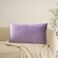 thumbnail image 4 of Leodye 1 Pack Rectangle Velvet Throw Pillow Cover Colour Waist Pillow Cushion, Soft Cozy Solid Decorative Luxury Cushion Cases for Couch Sofa Bed -11.81×19.68inch, 4 of 6