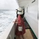 thumbnail image 5 of Women,Little Girls Straw Sun Hat Summer Beach Cap Foldable Visor Floppy Hats Wide Brim with Bowknot, 5 of 5