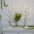 thumbnail image 2 of FrostHike 2FT 24LT Pre-lit White Birch Tree Lights with Timer Decorative Light Tabletop Tree-Set of 2, 2 of 5