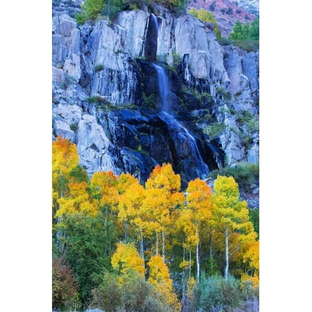 Autumn Color Waterfall Bishop Creek Canyon Eastern Sierras California Print Wall Art By Vincent (Best Time For Eastern Sierra Fall Colors)