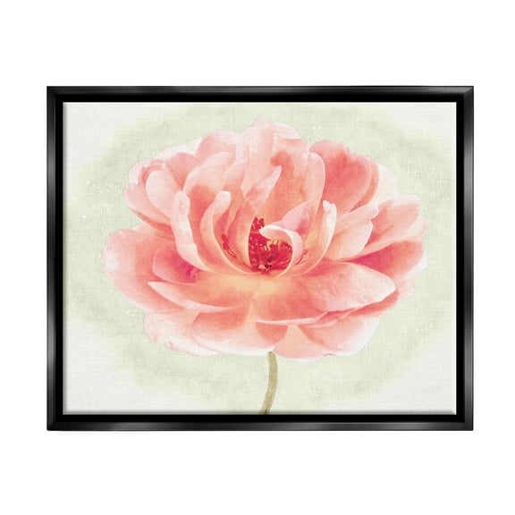 Stupell Industries Soft Pink Peony Botanical & Floral Painting Black Floater Framed Canvas Art Print Wall Art, 21 x 17