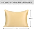 thumbnail image 2 of 2-Pack 22 Momme Mulberry Silk Washable Pillowcases, Queen, Gold, 2 of 8