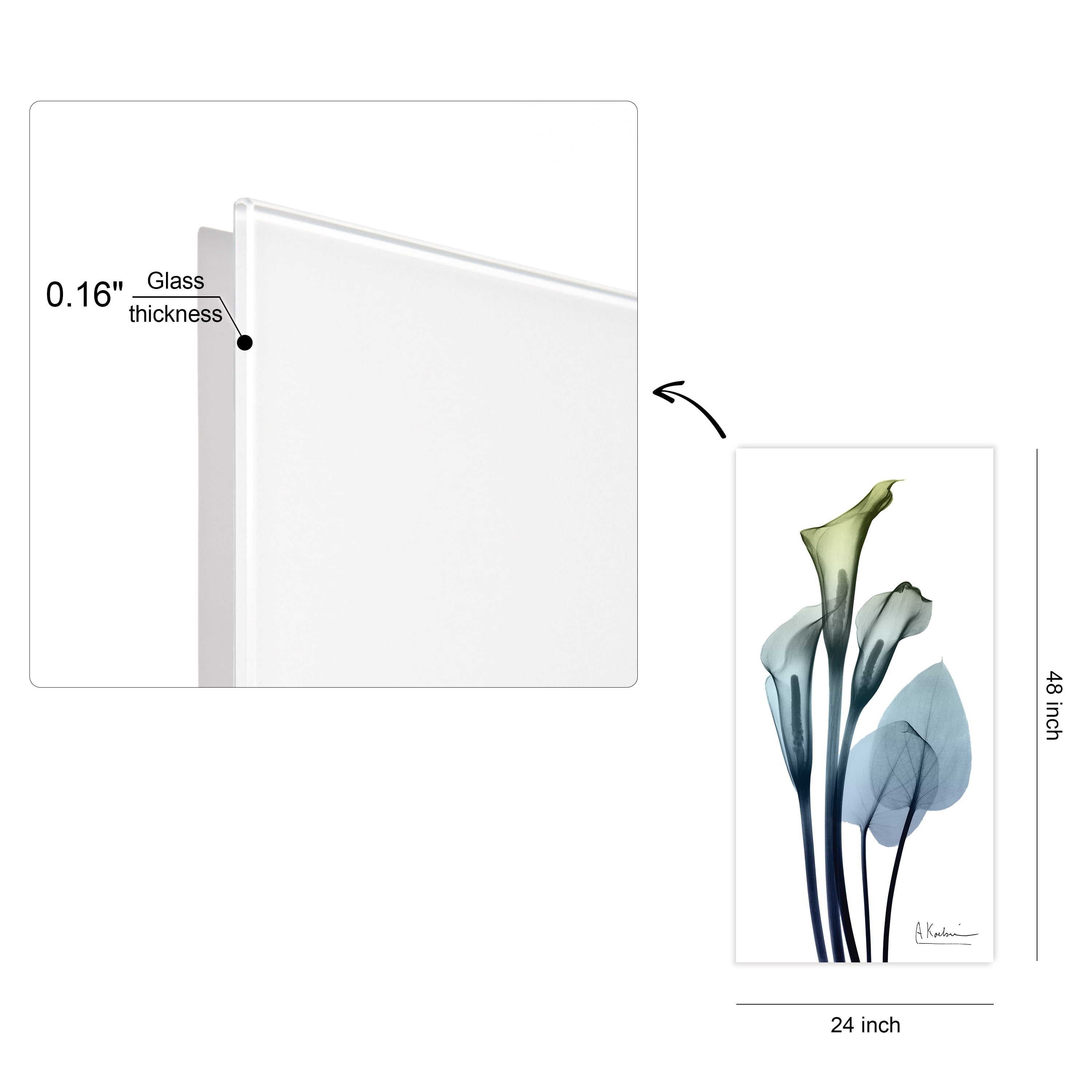 Empire Art Direct Calla Lily and Blue Tulips Frameless Free Floating Tempered Glass Panel Graphic Wall Art Set of 2, 72" x 36" x 0.2" each, Ready to Hang