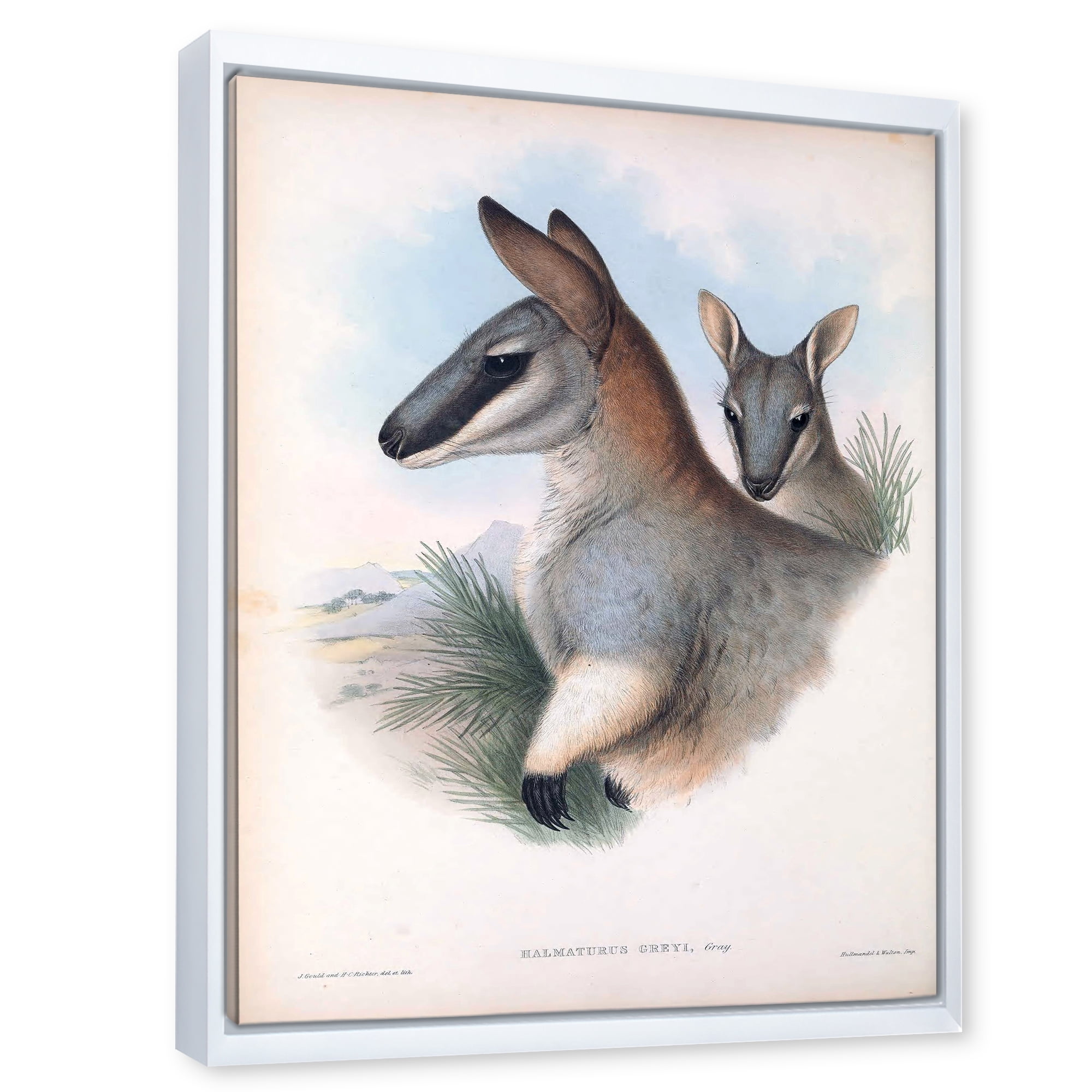 Designart 'Ancient Kangaroo' Farmhouse Framed Canvas Wall Art Print