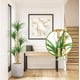 thumbnail image 4 of 5-ft artificial dracaena tree: realistic, lifelike faux tree para indoor decor - ideal para para photo backdrops, nursery, sala de estar, oficina, 4 of 6